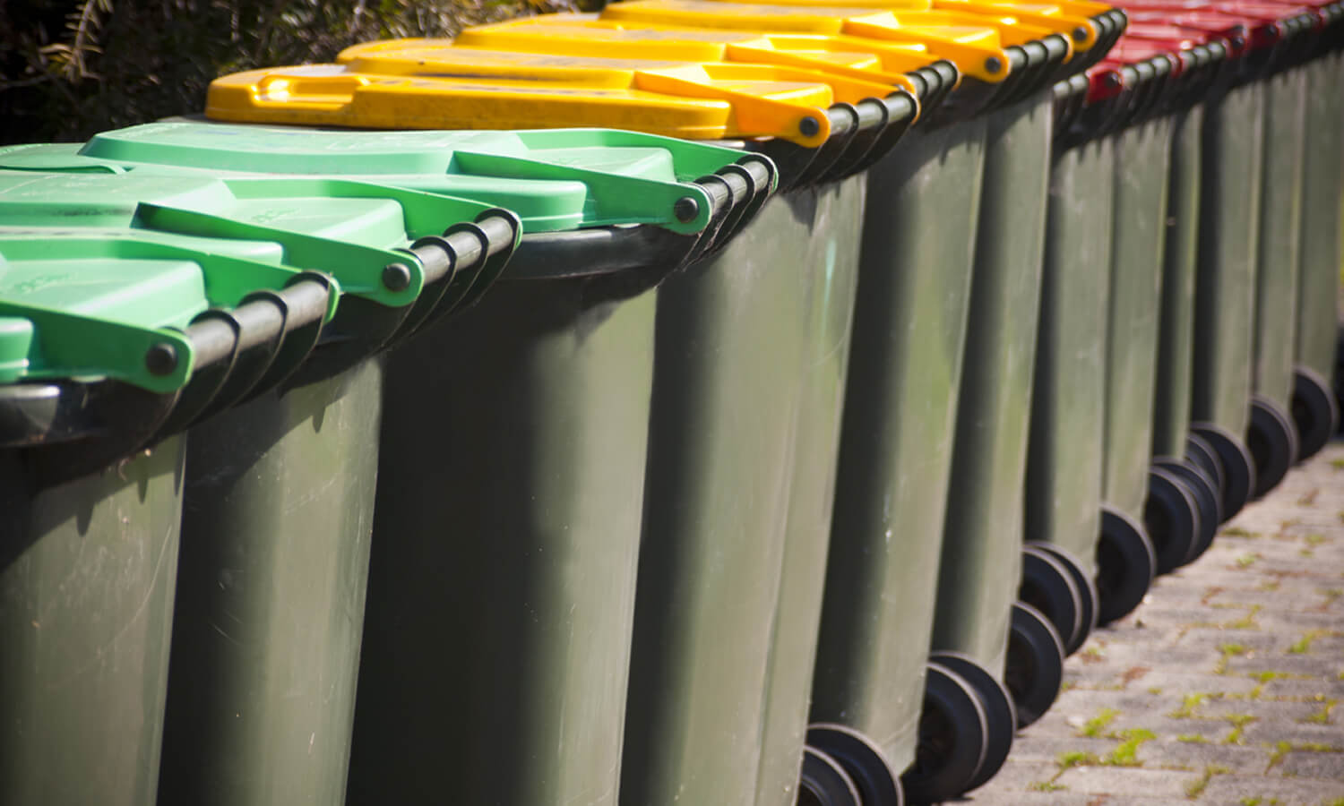 Strata property wheelie bins for professional cleaning